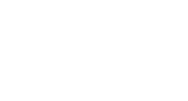 Logo Mulino di Trastevere Trianon Group<br>P.iva 09736741001